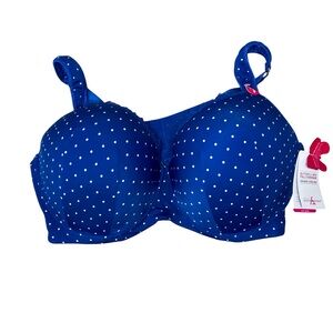 Ashley Stewart Butterfly Bra Underwire 42 DDD Full Coverage Royal Blue Polka Dot